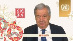 万事如意，国泰民安：古特雷斯、普京等国际