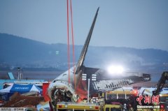 韩国发布航空安全管理方案：加强防范机场鸟
