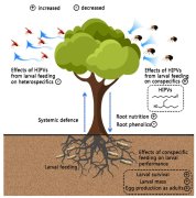
【大国粮策】植物的“化学语言”：挥发物